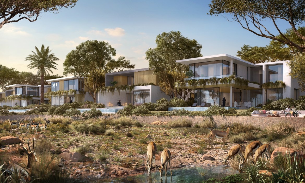 Expo Valley Dubai 5 Schlafzimmer Villa Rückseite