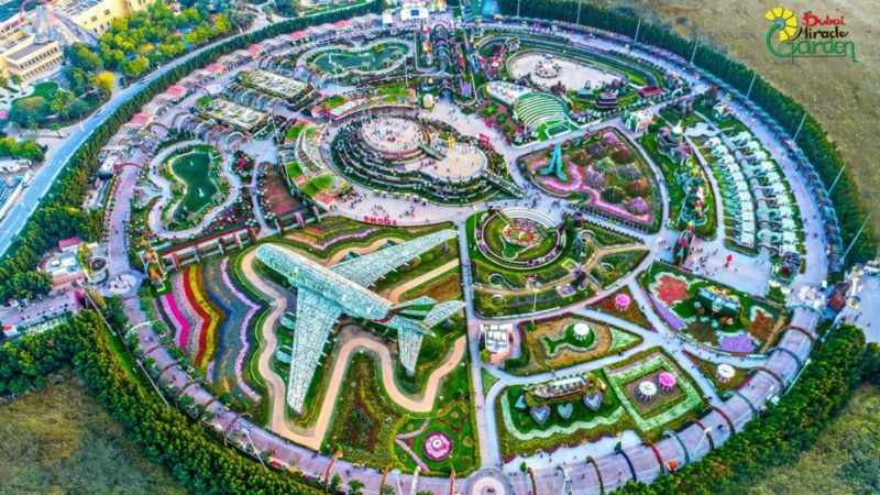 Miracle Garden Dubai Arjan